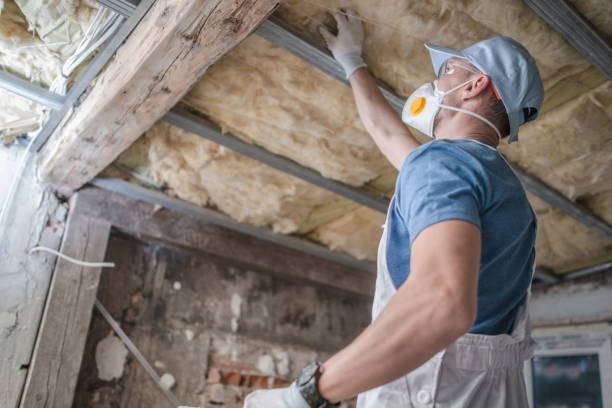 Best DIY Insulation Kits and Guidance in Elma Center, NY