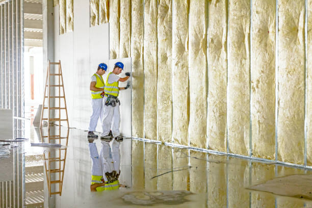 Best Specialized Insulation Services in Elma Center, NY